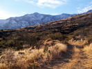 photo thumbnail #3