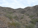photo thumbnail #14