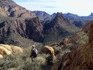photo thumbnail #13