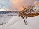 photo thumbnail #5