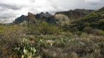 photo thumbnail #7