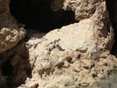 photo thumbnail #12