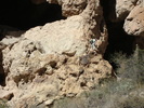 photo thumbnail #13