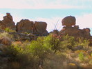 photo thumbnail #8