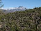 photo thumbnail #7