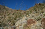 photo thumbnail #5