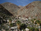 photo thumbnail #9