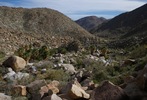 photo thumbnail #10