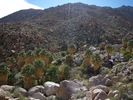photo thumbnail #14