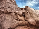 photo thumbnail #4