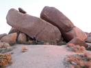 photo thumbnail #2
