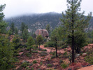 photo thumbnail #6