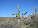 photo thumbnail #1