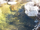photo thumbnail #13