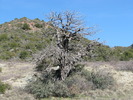 photo thumbnail #14