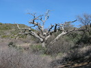photo thumbnail #15