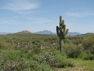 photo thumbnail #2