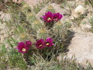 photo thumbnail #6