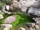 photo thumbnail #10