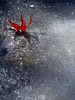 photo thumbnail #13