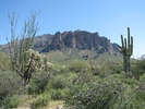 photo thumbnail #1