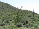 photo thumbnail #8