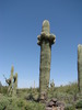 photo thumbnail #9