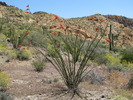photo thumbnail #3