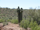 photo thumbnail #5