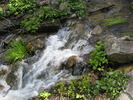 photo thumbnail #13
