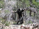 photo thumbnail #5