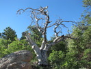 photo thumbnail #1