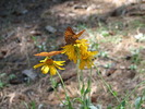 photo thumbnail #15
