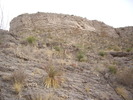 photo thumbnail #6