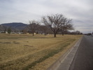 photo thumbnail #4
