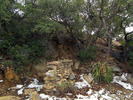 photo thumbnail #12