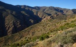 photo thumbnail #1