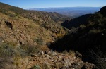 photo thumbnail #5