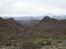 photo thumbnail #2