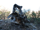 photo thumbnail #4