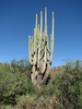 photo thumbnail #7