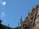 photo thumbnail #12
