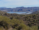 photo thumbnail #3