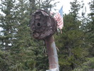 photo thumbnail #5