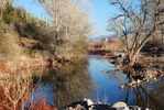 photo thumbnail #2