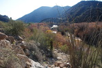 photo thumbnail #4