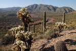 photo thumbnail #6