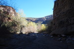 photo thumbnail #11