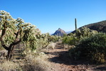 photo thumbnail #15
