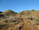photo thumbnail #3